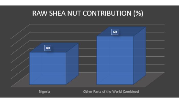 Nigeria Extends Raw Shea Nut Export Ban One Year, Threatening Short-Term Producer Income
