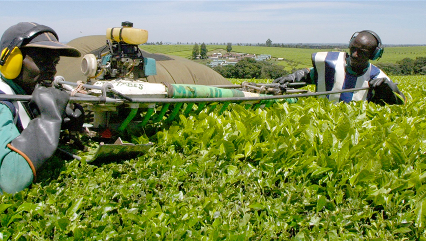 Manufacturing and Agro-Allied Industries to Power Nigeria’s Long-Term Economic Growth Under Agenda 2050