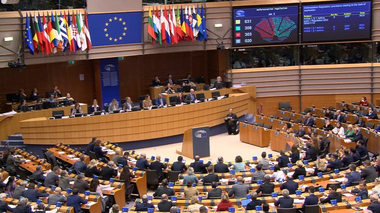 European Parliament’s Center Bloc Splits as Battle Over Deforestation Law Intensifies