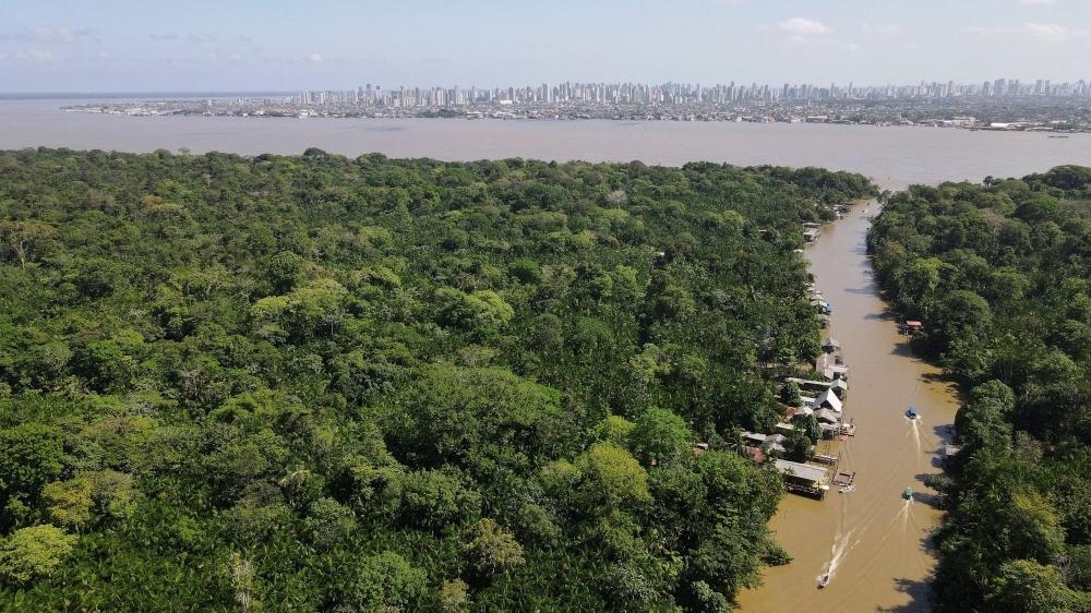 Google to Buy Carbon Credits From Massive Amazon Reforestation Project