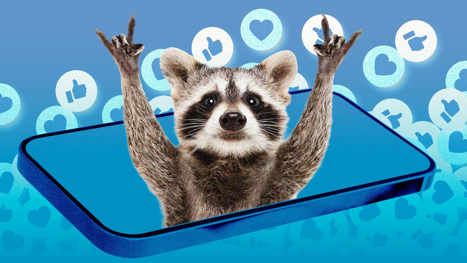 Brands Rush To Cash In On Jimothy, Seattle's Viral Raccoon