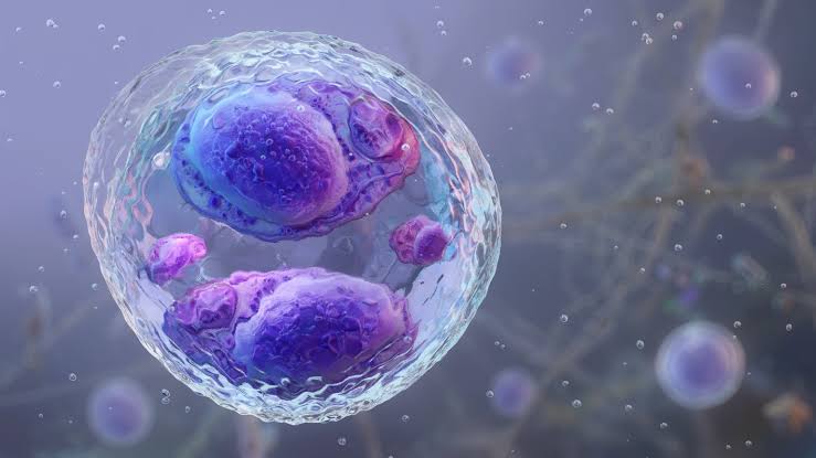 Two Die in First Fatal US Cyclospora Outbreak Linked to Taco Bell Lettuce