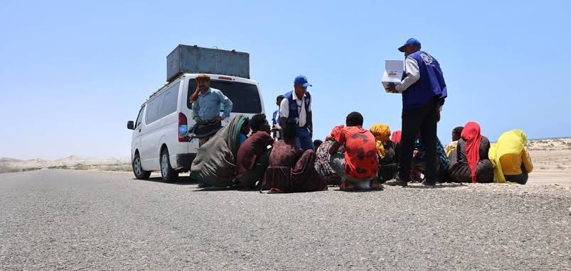 Ethiopia Dominates Yemen Migrant Arrivals