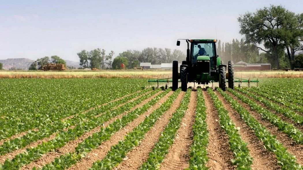 Ghana Launches Agricultural Education Fund With GH¢100m Target