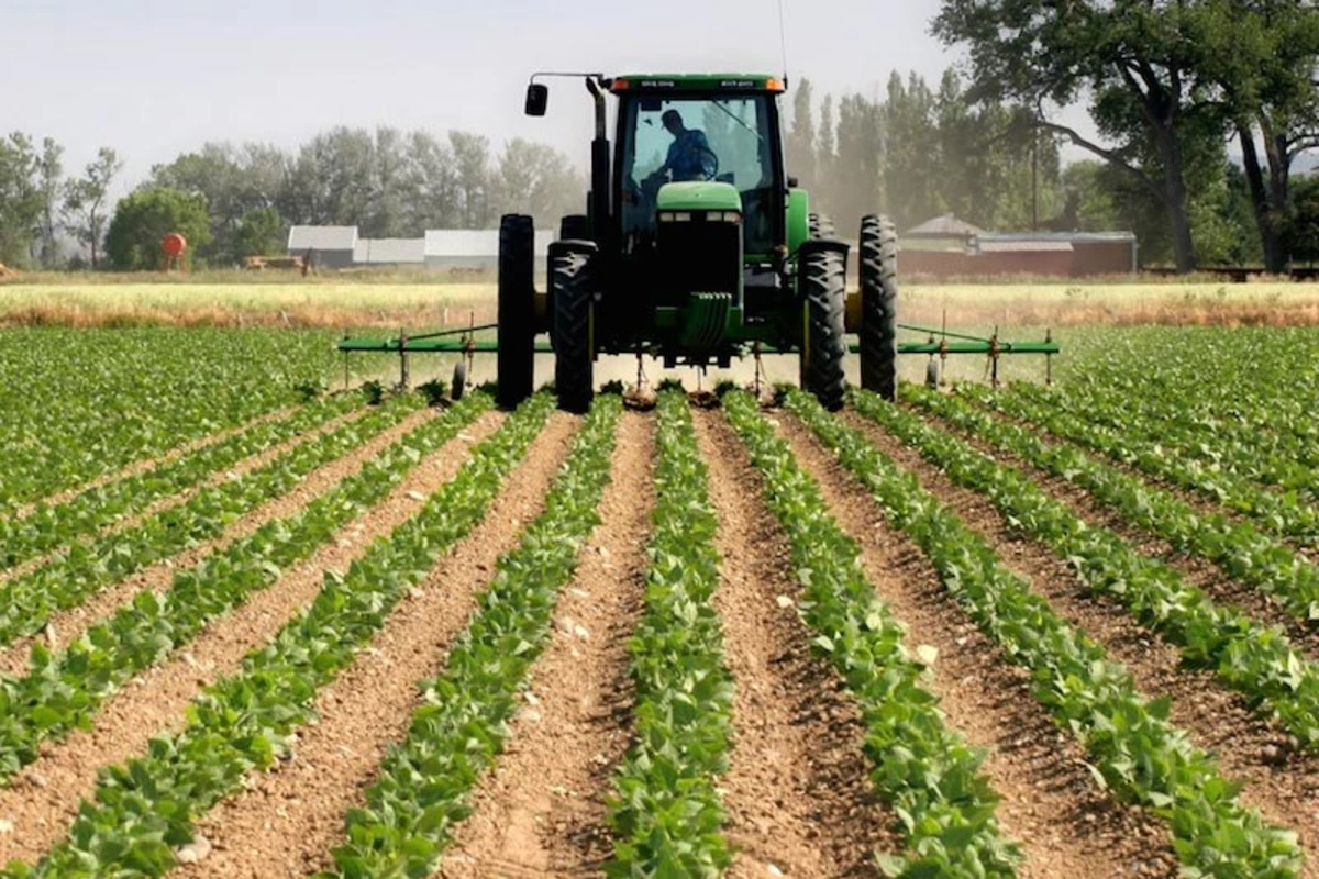 Agriculture Credit Rises to N3.86tn as Oil and Gas Lending Falls