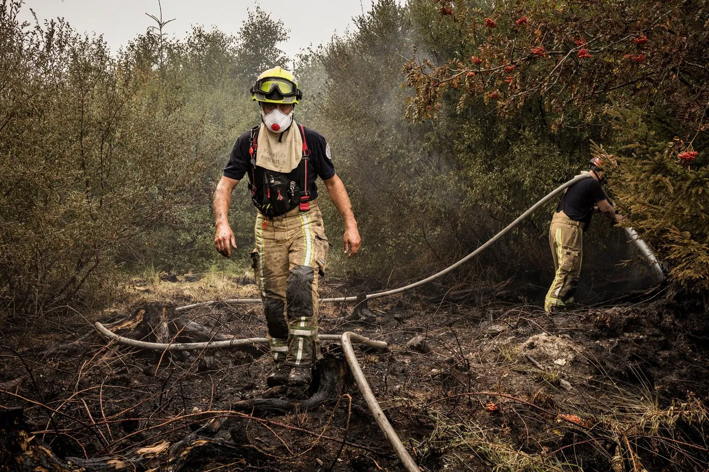 Two Killed in Greece and Belgium Battles Its Largest Modern-Day Wildfire as Blazes Spread Across Europe