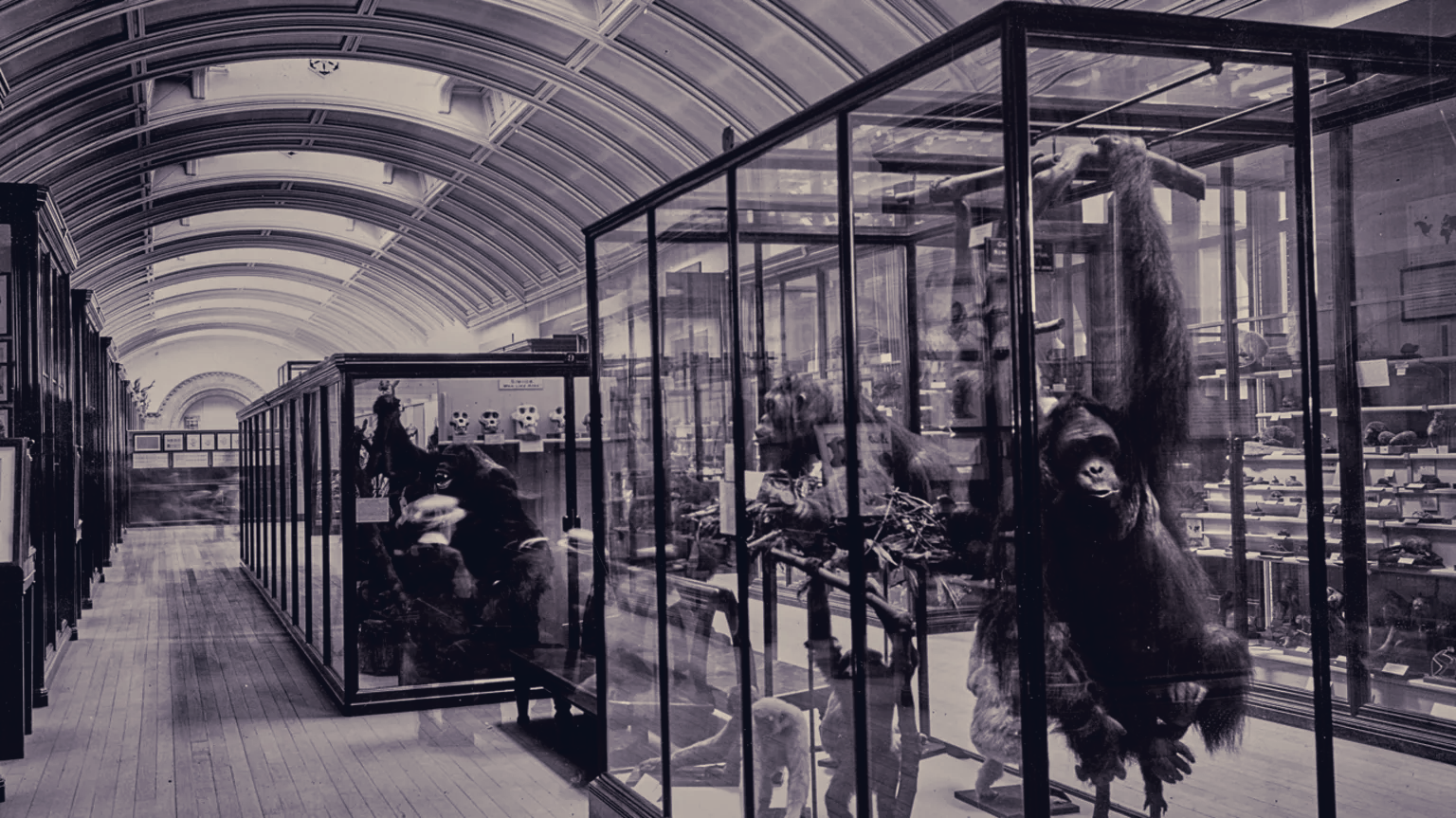Hidden Museum Gallery to Reopen After 83 Years From 16 September