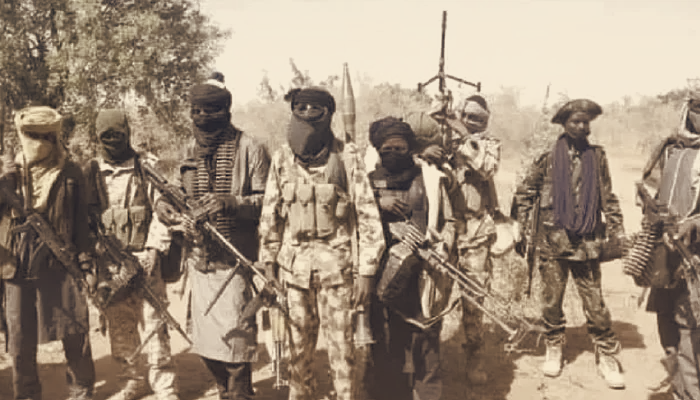 Bandits Sack 100 Southern Kaduna Communities, Push Others Into Negotiations
