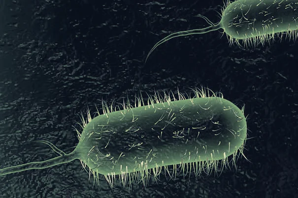 Nigeria Cholera Cases Surge to over 65,000 across 35 States