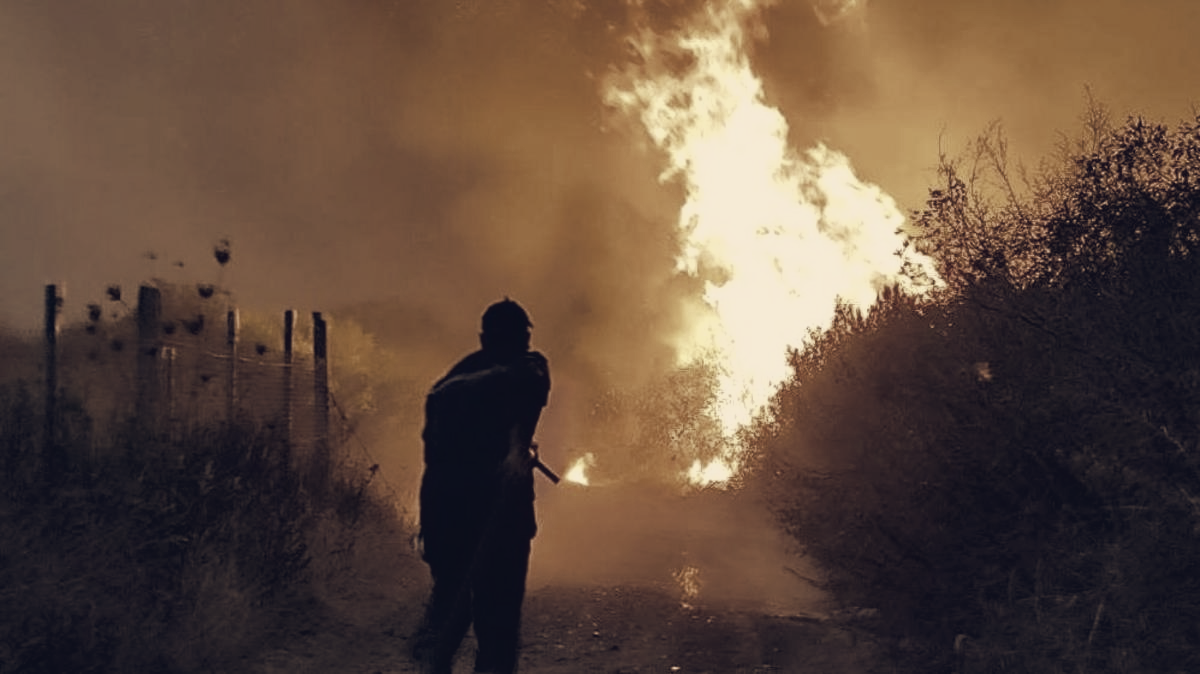 Algeria Moves To Reinstate Death Penalty For Arsonists After Deadly Fires
