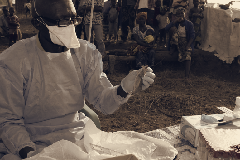 Lassa Fever Deaths Reach 252 as Case Fatality Rate Rises to 24.4% in Nigeria