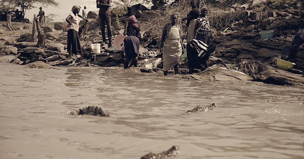 Kenya Removes Crocodiles From Lake Baringo to Reduce Human Conflict