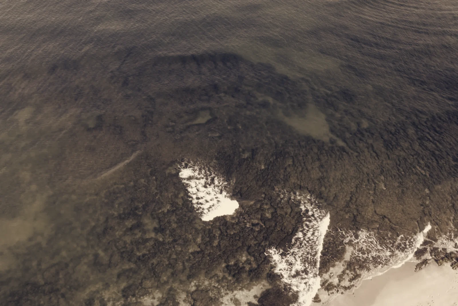 Five Israeli Desalination Plants Knocked Out, Gaza Sewage Damage May Have Worsened Bloom