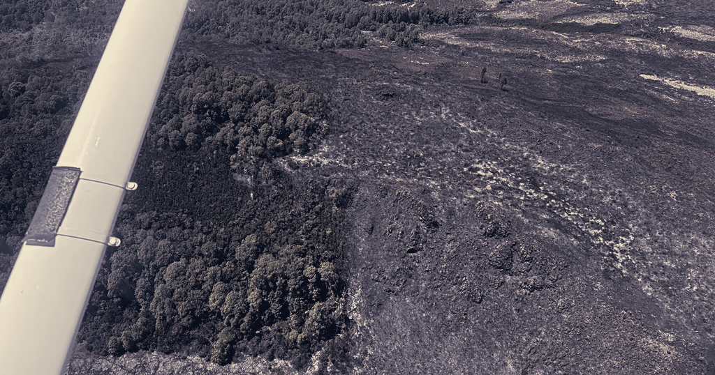 Wildfire Burns 8,700 Hectares on Mount Kenya, Threatening Wildlife and Water