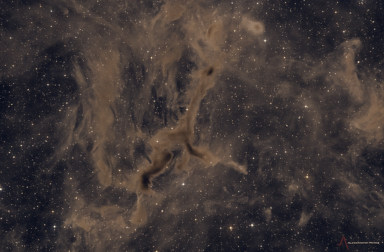 APOD Posts LDN 1295, Adds the "Giraffe Nebula" to 10 September Archive