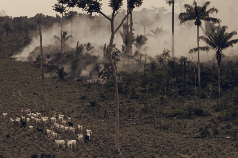 More Than 500 Invaders Open Roads and Set Fires in Ituna/Itatá, Isolated Community Threatened