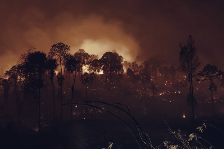 Wildfires Encroach On Nusantara, Threatening Indonesia’s New Capital