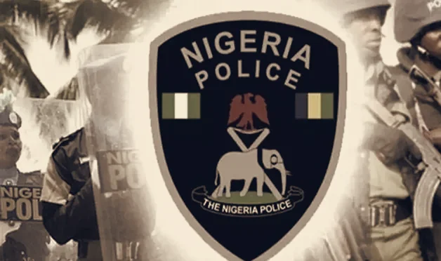 Ambush Kills Two Police Officers in Logo LGA, Deepens Benue Security Risk