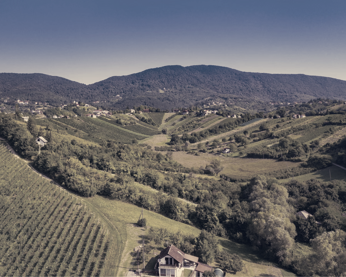 Samobor Hills Attract Zagreb Weekenders, Reinforce Plešivica Wine and Food Scene