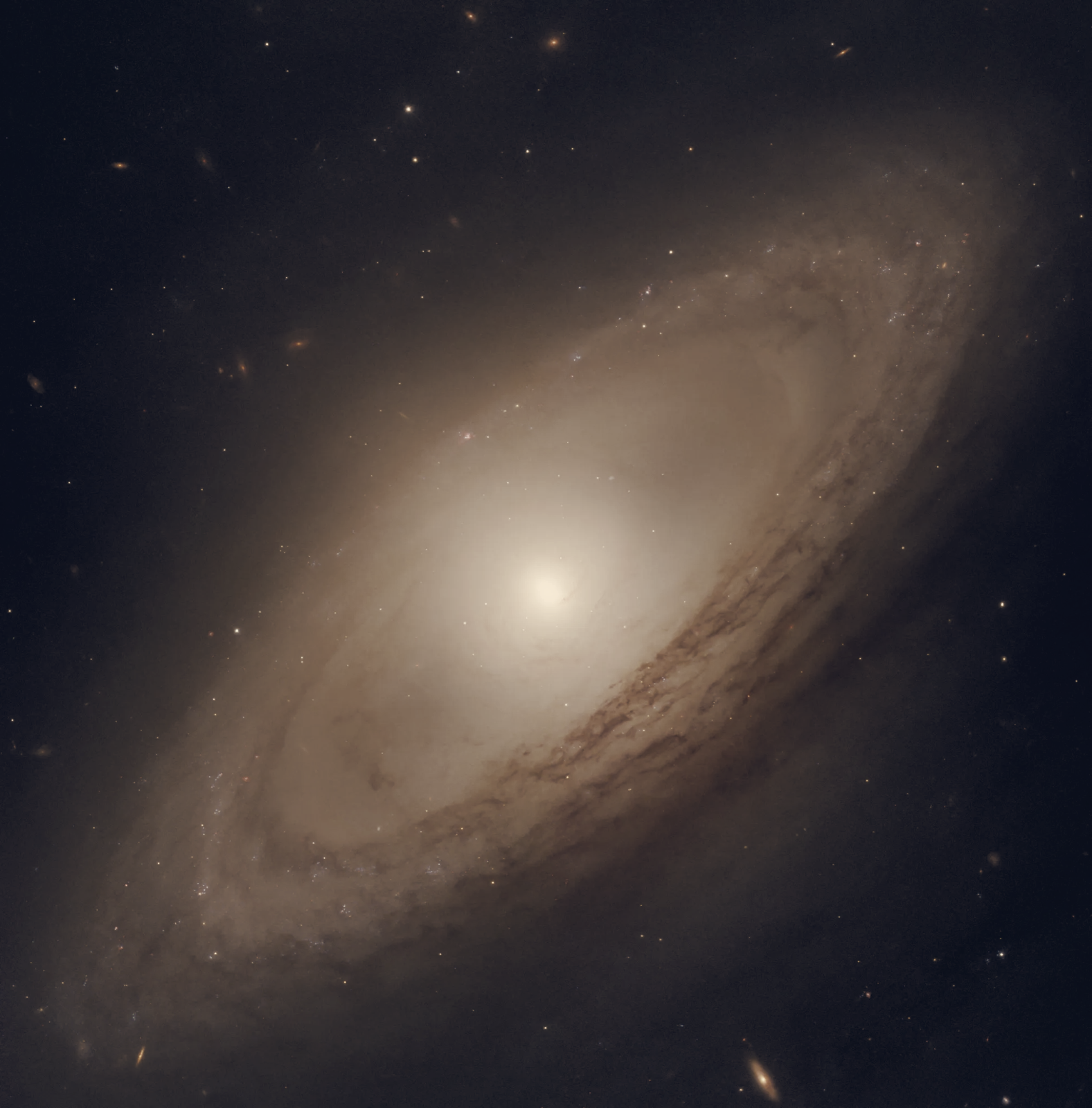 NGC 4698 Shows Perpendicular Bulge, Pointing to External Gas Accretion