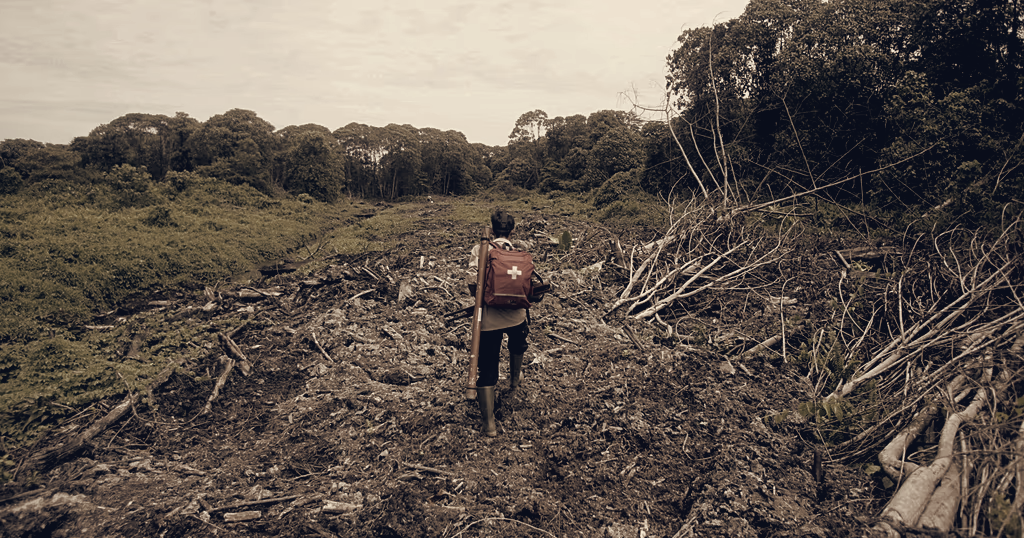 Salvador Converts Waste Palm Oil to Energy, Targets 6 Million Liters