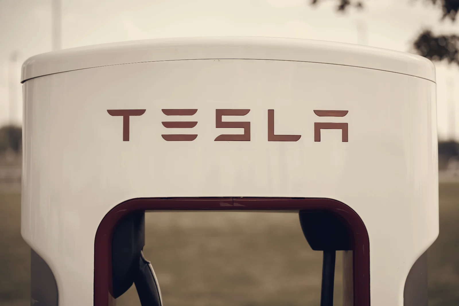 Tesla Registers Vietnam Unit, Signals Entry Into VinFast-Dominated Market