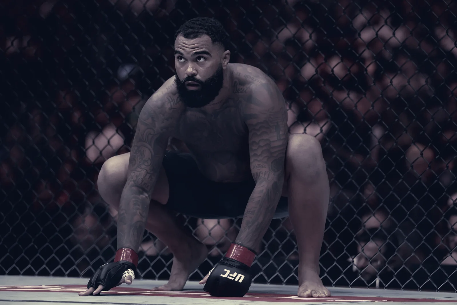 Gable Steveson Told To Take A Year Out, Could Pause UFC Activity