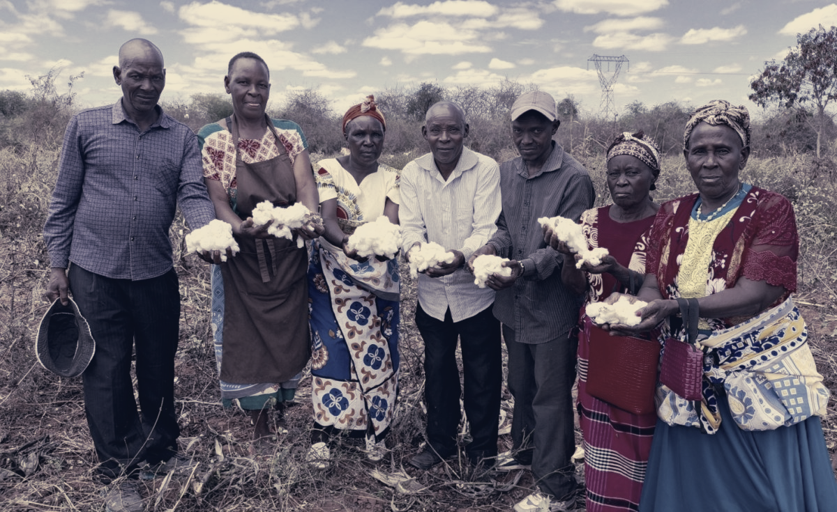 Kenya's Kitui Farmers Return to Cotton, Output Hinges on Seed, Rain and Young Farmers