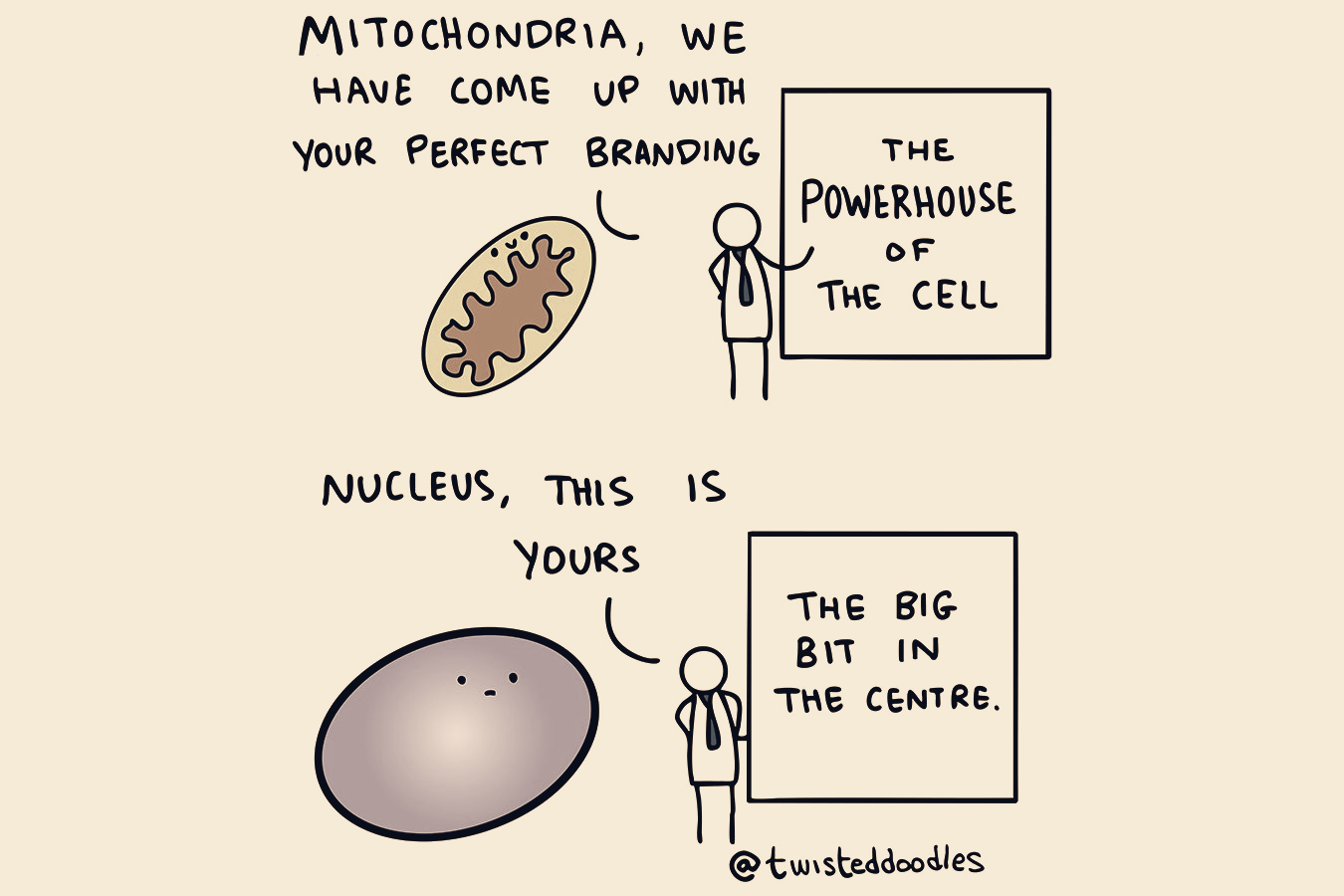 Twisteddoodles Publishes Guide To Making A Cell Look Its Very Best