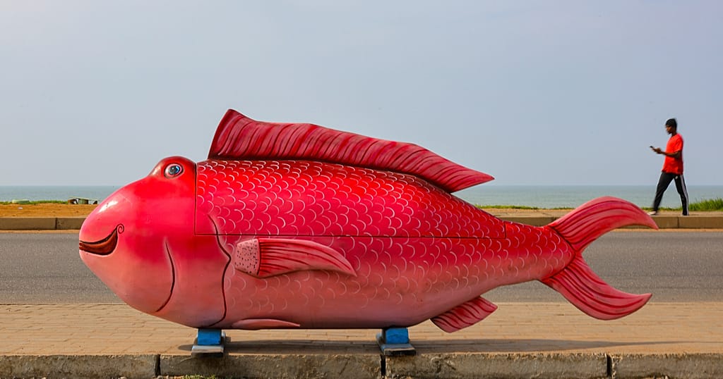 Ghana's Figurative Coffins Give Families Personal, Public Farewells