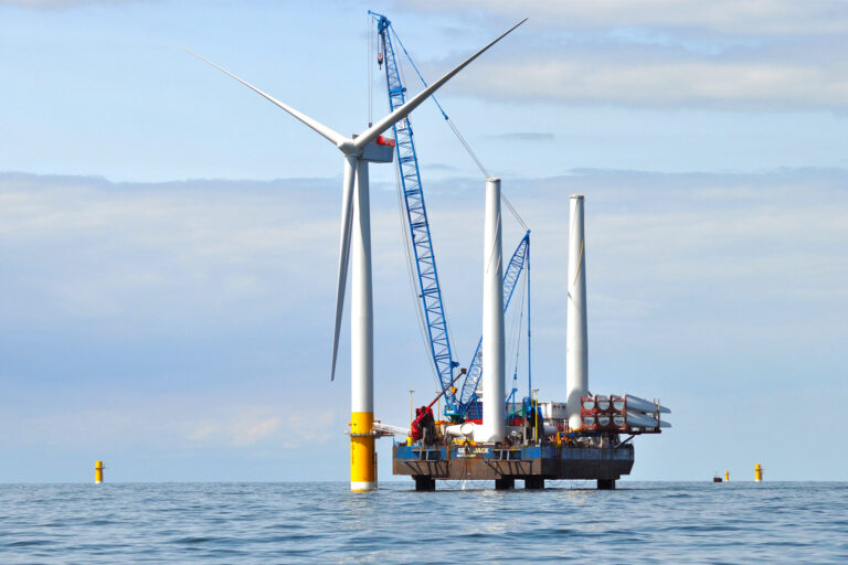 Offshore Wind Expansion Shields Some Species, Threatens Others